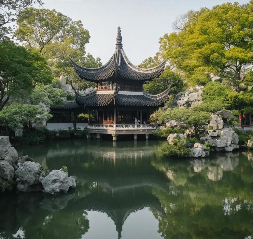 鸡西鸡冠祸兮舞蹈有限公司